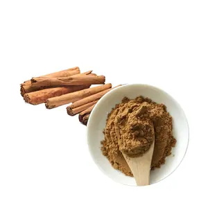 Poudre d'extrait de cannelle d'extrait de Cinnamomum cassia