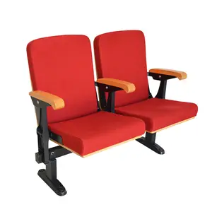 Modern Theater Cinema Chair, Movie Theater Luxury Seating, Theatrical Theater Armchair