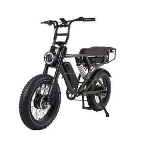 Bici Elettrica Ibrida da Città a Sospensione Completa, Doppio Motore 1000W, E-bike da Montagna con Pneumatici Fat da 20 Pollici, Batteria al Litio, Telaio in Lega di Alluminio - Product Image 1