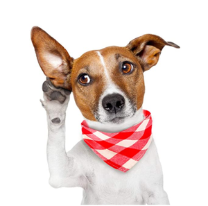 Dog Bandanas <strong>Plaid</strong> 30 Triangle Dog Scarves <strong>Plaid</strong> Cloth <strong>Bandana</strong> Adjustable &amp; Washable Pet Scarf Fall Handkerchiefs Bibs - Product Image 2