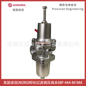 วาล์วลดแรงดันนอร์เกรน B38P-444-M1MA 1/2 นิ้ว สำหรับแก๊สอุณหภูมิต่ำแบบนิวเมติก - Product Image 2