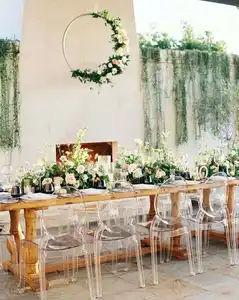 Furniture Crystal French Louis Chair Ghost Chairs Clear Plastic Polycarbonate Tiffany Resin Chiavari Chairs Event Rental Acrylic