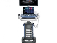 Système d'échographie numérique vétérinaire Mindray Vetus 5exp Vet, scanner d'échographie vétérinaire 3D 4D avec moniteur de 21,5 pouces et stockage de 1 To