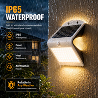 Lampe solaire de jardin LED IP65 à haute luminosité, à fixation murale extérieure avec détecteur de mouvement, fournisseur d'or de Shenzhen