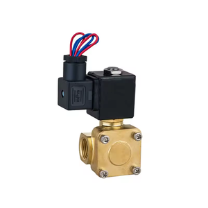 0927000 0927100 0927200 2 cara diafragma <span class=keywords><strong>Pilot</strong></span> kuningan elektrik 1/4 3/8 1/2 inci katup Solenoid air NBR FKM - Product Image 4