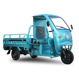 Low-speed High-power Electric Man-powered Tricycle Heavy-duty Cargo Electric Tricycle electrical system motorcycles