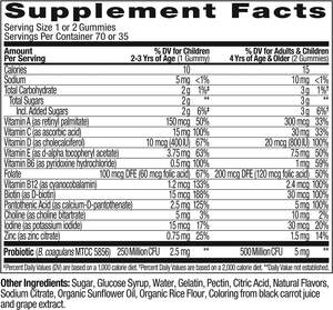 Çocuklar Berry çiğneme takviyesi Multivitamin + prebiyotik sakızlı vitamin D C E B çinko bağışıklık sindirim sağlık takviyesi - Product Image 6