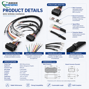 Câble de signalisation du système de gestion de batterie (BMS) - Transmission de données fiable pour les packs de batteries LiFePO4 - Product Image 3