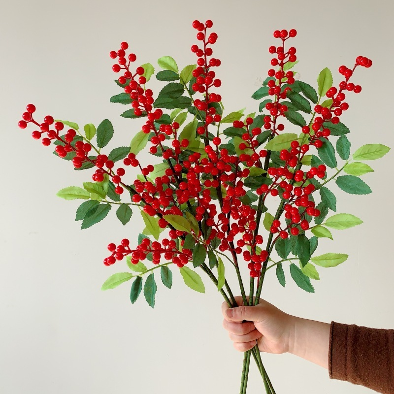 5 fruits de houx avec feuilles
