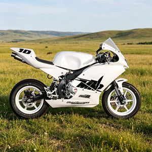 Suministro de Fábrica KAYO MiniGP MR150 149cc Mini Moto de Carreras <span class=keywords><strong>GP</strong></span> de 4 Tiempos y 5 Velocidades Manual para Entrenamiento en Pista - Product Image 2