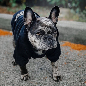 Ropa de Invierno de Lujo para Mascotas, Suéter con Diseño de Cara de Animal, Estilo Deportivo, Camiseta, Abrigo de Plumón para Perros - Product Image 4