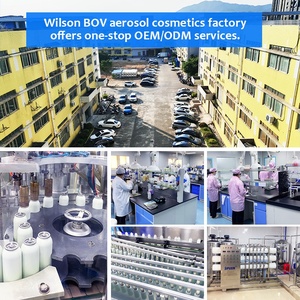 Vaporisateur de parfum Offre Spéciale de haute qualité déodorant pour le corps vaporisateur antisudorifique aérosol producteur en usine fabriqué en Chine - Product Image 5