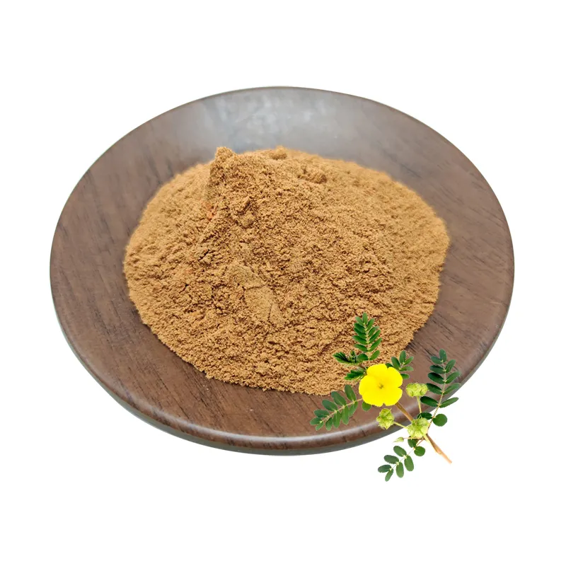 Tribulosides Tribulus Extract Poeder 90% Saponinen Protodioscine Tribulus Terrestris Extract