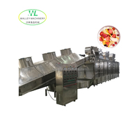 Chinese roestvrijstalen 304 voedselverwerkingsmachine voor groente- en fruitfabrieken, inclusief after-sales ondersteuning voor de fabriek.