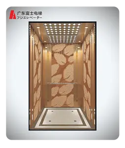 450 kg AC sürücü yolcu asansörü paslanmaz çelik kabin insan asansörü ev Villa asansörü