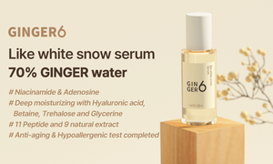 GINGER6 Vegan Gift Set Hidratante Nutritivo Tónico Suero de nieve Crema de agua PEPTI Crema de manos Crema de espuma - Product Image 4