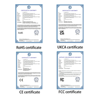 Ensemble de bigoudis en céramique électrique certifié ROHS PTC Portable efficace rotation automatique LED affichage de la température usage domestique