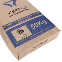 Sac en toile tissée PP avec valve de 20 kg, 25 kg, 40 kg, 50 kg pour ciment Portland, poudre de ciment et mastic