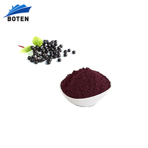 Высококачественный пищевой краситель Антоцианы 25% из экстракта плодов черной бузины в порошке - Product Image 1
