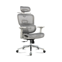 Chaise de bureau ergonomique moderne en maille, avec fonctionnalités réglables, cadre en aluminium, chaise de travail pivotante haut de gamme pour PDG, extensible