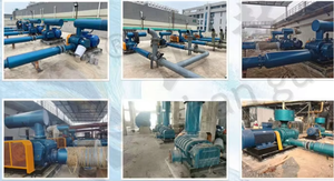 Shangu Série RSR Souffleurs de racines de haute qualité pour ventilateurs de four à adsorption oscillant sous pression Compresseurs à vapeur avec CE - Product Image 6