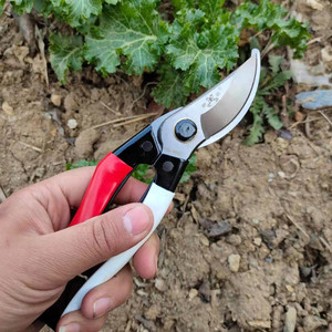 Sécateur pour arbres fruitiers en acier inoxydable 103D, manche rouge et blanc, design papillon, outil de taille de jardin PS-103D, capacité 20-30 mm - Product Image 3
