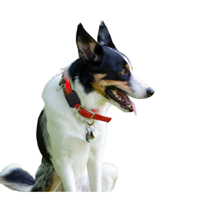 Rastreador GPS para adultos, botón de pánico IP67, red 4G, posicionamiento GSM, <span class=keywords><strong>Chip</strong></span> para personas mayores, etiquetas de seguimiento para niños, pulsera para Vista de PC para personas mayores - Product Image 4