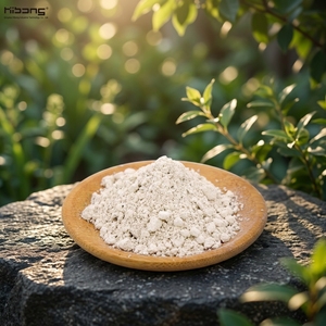 Quitosano Lactato en Polvo Soluble en Agua, Sin Residuos, Materia Prima Ecológica para Producción de Alimentos Orgánicos <span class=keywords><strong>y</strong></span> Agricultura Sostenible - Product Image 3