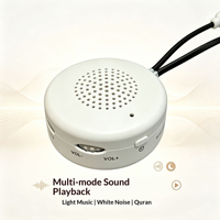 Module sonore pour jouet en peluche, activé par minuterie, batterie rechargeable, mécanisme sonore en plastique ABS pour poupées