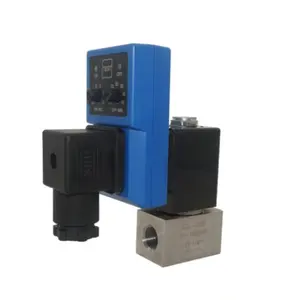 Bsp npt 1/2 timer elettronico digitale sistema di raffreddamento dell'aria timer in acciaio inossidabile valvola di scarico automatica per compressore d'aria