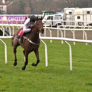 Çiftlik veya bahçe dış mekan kullanımı için plastik Post ve Gate ile beyaz vinil at çit kazık çit paneller - Product Image 3