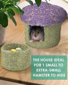 Tazón para masticar hámster y escondite Timothy Hay golosinas comestibles para hámster pequeño Ratones Rata Mascotas pequeñas Seta de hámster - Product Image 2