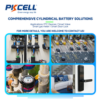 Batterie primaire au lithium ER18505 3,6 V pour IoT LoRa GPS Compteurs intelligents Jouets et outils électriques