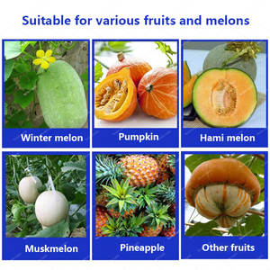 Cantaloupe Peel Machine Papaya Peeling Machine Papaya Peeler Machine Peladoras De Sandias - Product Image 5