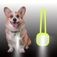 Pendentif lumineux pour chien de haute qualité personnalisé, multicolores, pour l'extérieur, LED pour chien, lumière de marche nocturne pour chien, silicone