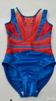 Tenues de gymnastique sans manches pour enfants, bleu royal mystique, en tissu brillant Spandex/Nylon, imprimé numérique, fourniture directe usine