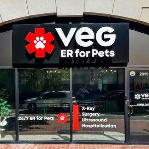 Insegna personalizzata con lettere a canale per negozio al dettaglio, lettere 3D per negozio di <span class=keywords><strong>occhiali</strong></span>, insegna esterna per edificio - Product Image 1