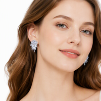 Produits Tendances 2026 Nouveautés Boucles d'Oreilles CZ Bijoux de Mode Vente en Gros Accessoires de Fête Bijoux de Mariage pour Femmes