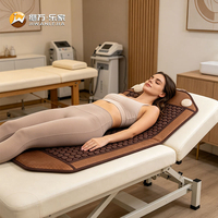 Jiwan Lejia Vente en gros de coussin chauffant personnalisé en tourmaline pour centre de spa