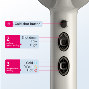 Secador de Pelo Profesional FirePhoenix 6500S OEM ODM, 2300W, Logotipo y Color Personalizables, Secador de Salón, Directo de Fábrica - Product Image 2