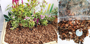 Les fabricants produisent en gros des écailles de pin polies <span class=keywords><strong>pour</strong></span> la plantation d'orchidées - Product Image 3