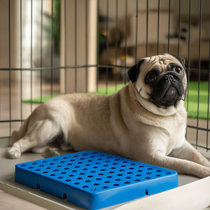 Toka bağlantı tasarımı ile küçük boyutlu plastik tepsi, ev kullanımı, depo ve süpermarket için uygun 300*300*50mm - Product Image 1