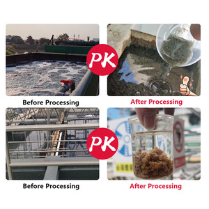 Polyelectrolyte Cationic Polyacrylamide Flocculant Price <strong>PAM</strong> High Molecular Weight Waste Water Treatment Chemicals Powder - Product Image 3