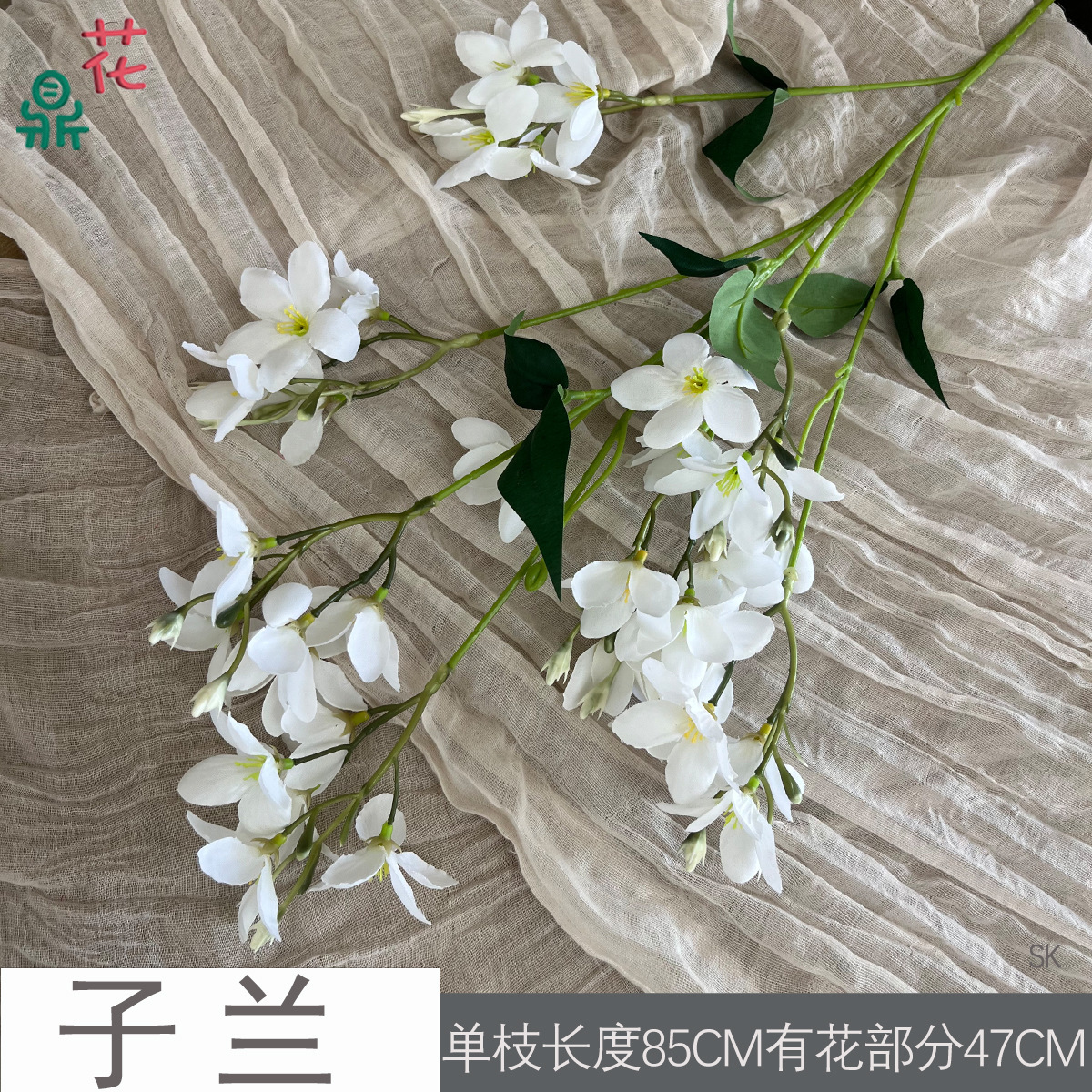 Zilan SK Blanc