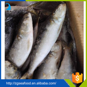 Varios Tipos de Pescado Enlatado, Mejor Sardina Enlatada - Product Image 2