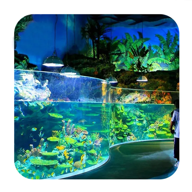 Réservoir de poissons d'aquarium Offre Spéciale personnalisé Transparent Feuille Acrylique Incurvée Pour L'aquarium D'aquarium