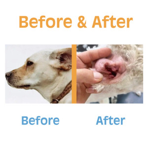 ผ้าเช็ดทำความสะอาดหูสำหรับสุนัขออร์แกนิคแบบปรับแต่งได้ผ้าเช็ดทำความสะอาดหูสำหรับสุนัขเป็นมิตรกับสิ่งแวดล้อม - Product Image 5