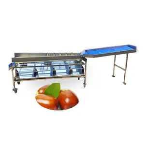 Taille de classement des fruits niveleuse de tri de myrtille cerise orange baies machine de classement