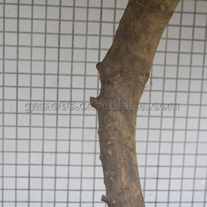 Tùy Chỉnh Nhân Tạo Cây Chanh Tự Nhiên Tìm Kiếm Giả Cây Chanh Với Trái Cây Cao Mô Phỏng Trái Cây Trang Trí Cây - Product Image 6