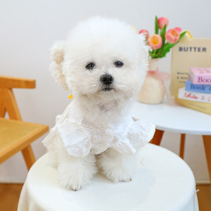 PETCIRCLE Pet Circle Spring/Summer Pet Clothing for Dogs and Cats - New <b>Daisy</b> Dress - Product Image 3